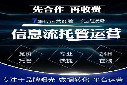 某企业SEM广告投放的转化率提升秘诀